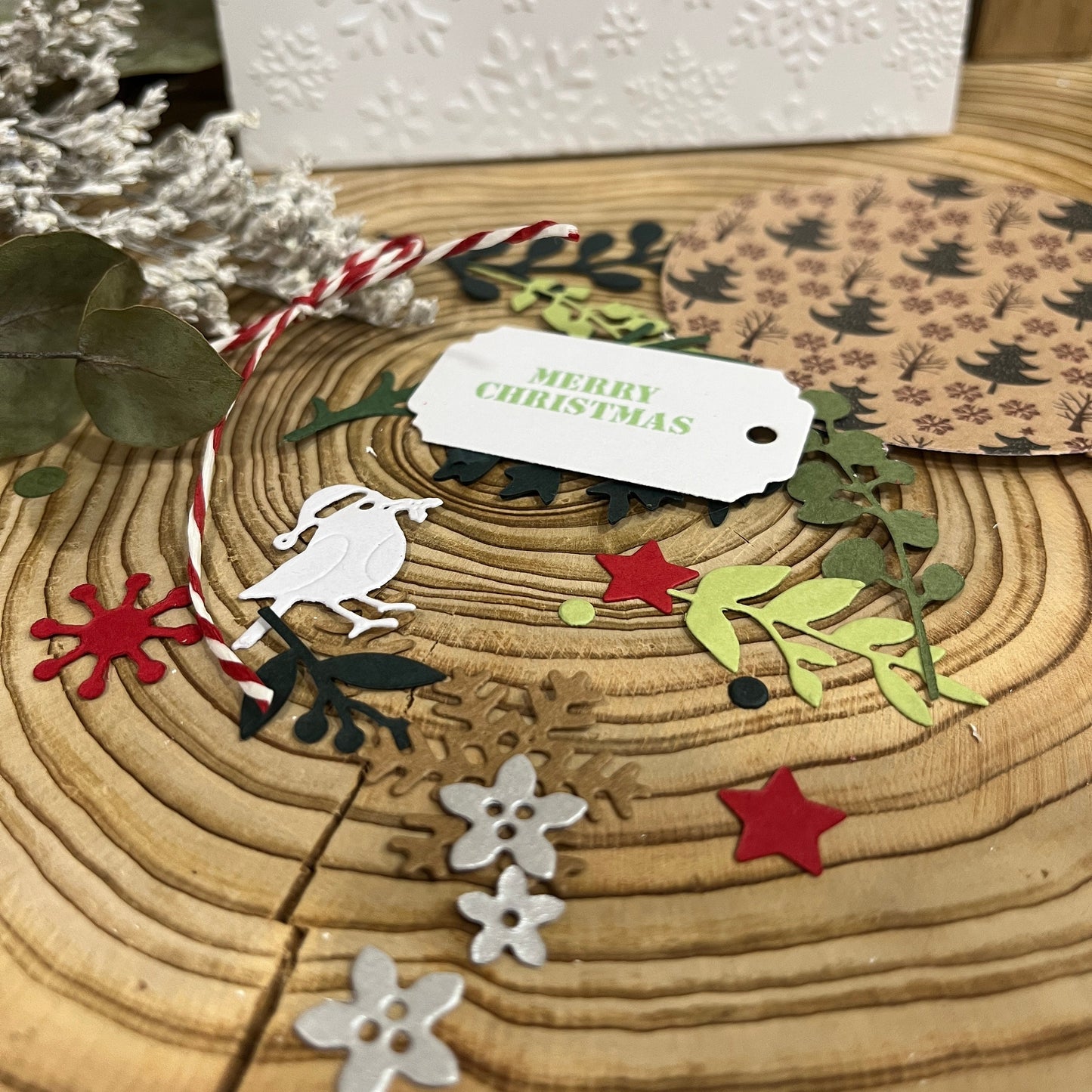 DIY Christmas Card Making Kit – Handmade Embossed Cards & Envelopes (5x7")
